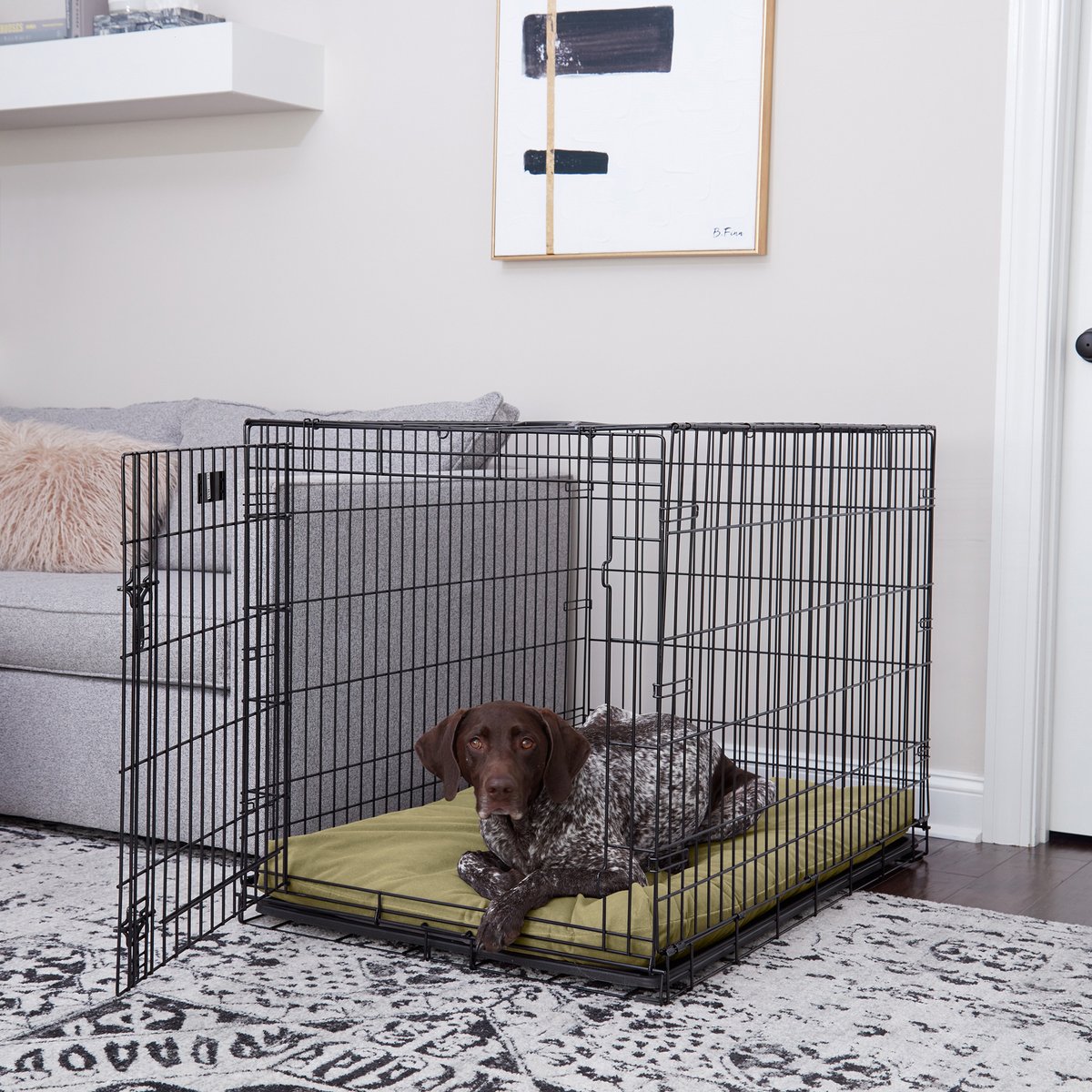 Happy Hounds Carson Deluxe Dog Crate Pad, Moss, 42-in