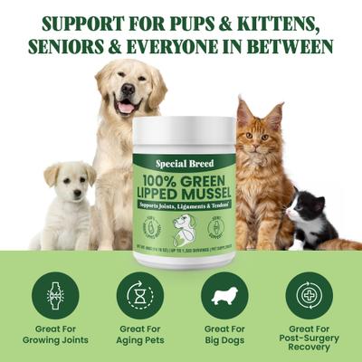 Show full view: Special Breed Green Lipped Mussel Powder Joint Supplement for Dogs & Cats, 14.10-oz slide 5 of 8