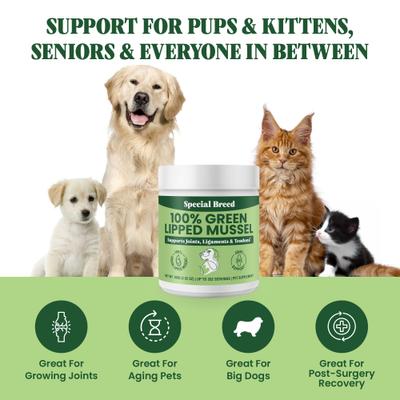 Show full view: Special Breed Green Lipped Mussel Powder Joint Supplement for Dogs & Cats, 3.53-oz slide 5 of 8