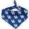 Show in main carousel: ShopInstaPets Kentucky Wildcats Dog Bandana, Small slide 3 of 5