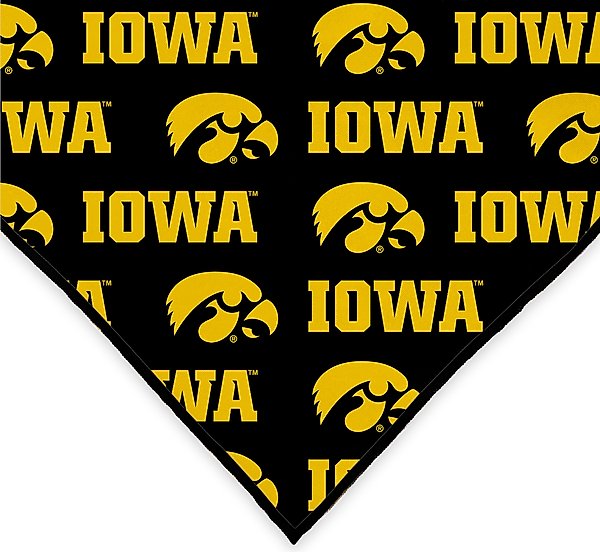 Show full view: ShopInstaPets Iowa Hawkeyes Dog Bandana, Large slide 4 of 5