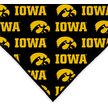 Show in main carousel: ShopInstaPets Iowa Hawkeyes Dog Bandana, Large slide 4 of 5