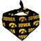 Show in main carousel: ShopInstaPets Iowa Hawkeyes Dog Bandana, Small slide 3 of 5