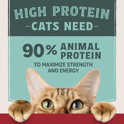 Show full view: Natural Balance Ultra Protein Real Chicken Recipe with Protein-Rich Organs Pate Wet Cat Food, 2.8-oz can, case of 24 slide 6 of 10