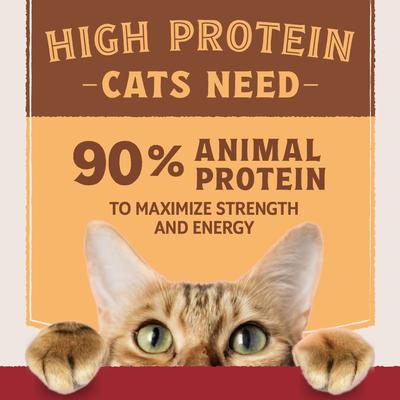 Show full view: Natural Balance Ultra Protein Real Duck Recipe with Protein-Rich Organs Pate Wet Cat Food, 2.8-oz can, case of 24 slide 6 of 10