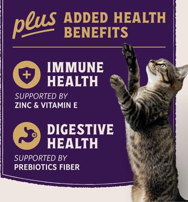 Show full view: Natural Balance Ultra Protein Plus Immune & Digestive Health Real Chicken with Pumpkin Recipe Puree Wet Cat Food, 2.4-oz pouch, case of 12 slide 8 of 11