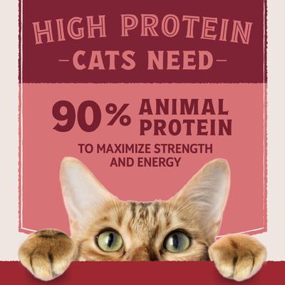 Show full view: Natural Balance Ultra Protein Real Salmon Recipe with Protein-Rich Organs Pate Wet Cat Food, 2.8-oz can, case of 24 slide 6 of 11