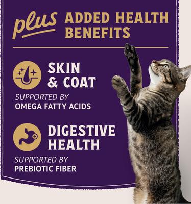 Show full view: Natural Balance Ultra Protein Plus Skin, Coat & Digestive Health Real Salmon with Pumpkin Puree Wet Cat Food, 2.4-oz pouch, case of 12 slide 7 of 11
