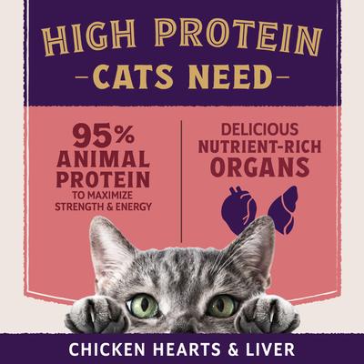 Show full view: Natural Balance Ultra Protein Plus Skin, Coat & Digestive Health Real Salmon with Pumpkin Puree Wet Cat Food, 2.4-oz pouch, case of 12 slide 6 of 11
