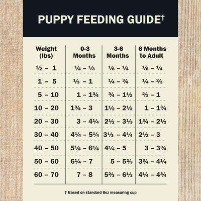 Show full view: Redbarn Powerfood Healthy Puppy Beef & Lamb Grain-Free Gently Air-Dried Dog Food, 2-lb bag slide 7 of 11