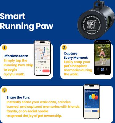 Show full view: Pawview Dog Bag Holder with Flashlight Dispenser, 60 bags, Lavender Scent, Black slide 7 of 10