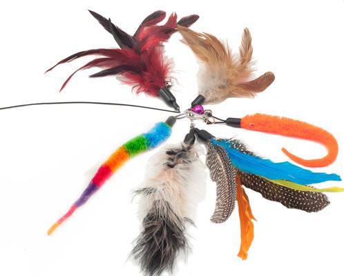 Show full view: Fashion's Talk Feather Wire Wand Cat Toy & Replacement slide 2 of 8