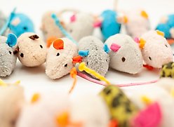 Fashion's Talk Mouse 32 Piece Assorted Soft Plush Catnip Mice Cat Toys slide 2 of 7