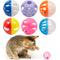 Show in main carousel: Fashion's Talk 12 Piece Plastic Ball Cat Toys slide 1 of 8