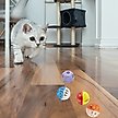 Show in main carousel: Fashion's Talk 12 Piece Plastic Ball Cat Toys slide 4 of 7