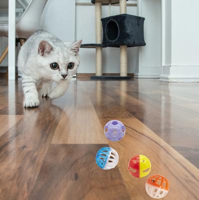 Show full view: Fashion's Talk 12 Piece Plastic Ball Cat Toys slide 4 of 8