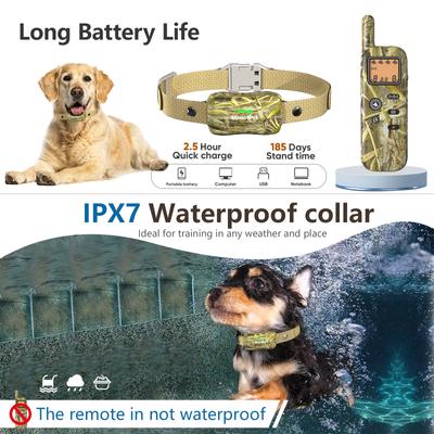 Show full view: Mimofpet Smart Two-In-One GT1 Multi-Functional Dog Collar & Dog Fence for 2 Dogs slide 2 of 9