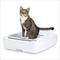Show in main carousel: PetSafe ScoopFree Crystal Plus Self-Cleaning Cat Litter Box slide 1 of 10