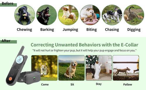 Show full view: Mimofpet X1 Dog Training Collar slide 5 of 10