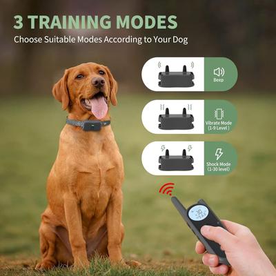 Show full view: Mimofpet X1 Dog Training Collar slide 8 of 10
