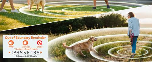 Show full view: Mimofpet Smart Two-In-One GT1 Multi-Functional Dog Collar & Dog Fence for 2 Dogs slide 9 of 9