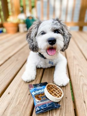 Show full view: Redbarn Roofles with Natural Maple Flavor Dog Treats, 50 count slide 6 of 13