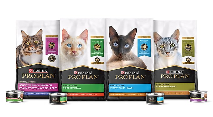 キャットフード PURINA PRO PLAN LIVECLEAR & URINARY CARE Amazon.com : Purina Pro Plan Indoor Cat Food LiveClear Cat
