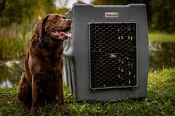 Dakota 283 Rough & Tough Economy Dog Kennel, Dark Granite, X-Large slide 2 of 8