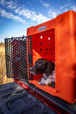 Show full view: Dakota 283 Rough & Tough Economy Dog Kennel, Orange, Large slide 8 of 8