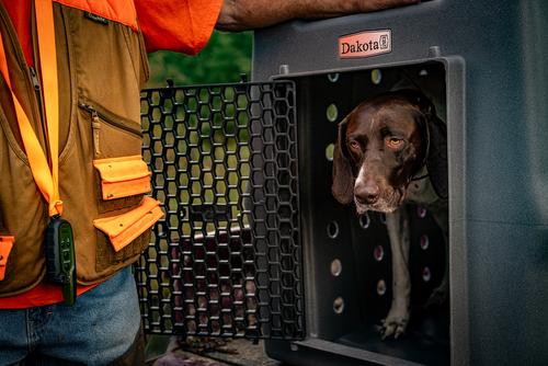 Show full view: Dakota 283 Rough & Tough Economy Dog Kennel, Dark Granite, Large slide 8 of 8