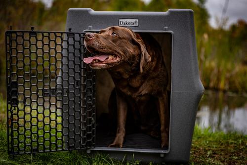 Show full view: Dakota 283 Rough & Tough Economy Dog Kennel, Dark Granite, Medium slide 9 of 9