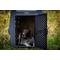 Show in main carousel: Dakota 283 Rough & Tough Economy Dog Kennel, Dark Granite, Medium slide 8 of 9
