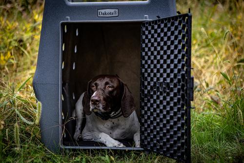 Show full view: Dakota 283 Rough & Tough Economy Dog Kennel, Dark Granite, Medium slide 8 of 9