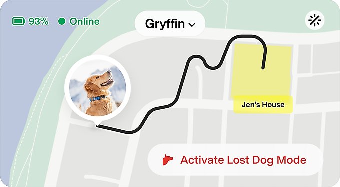 Fi Series 3+ Smart Dog Collar