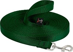 LupinePet Basic Solid Dog Training Leash, 15-ft long, 3/4-in wide, Green, 15-ft long, Standard