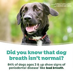 TropiClean Fresh Breath Dental Water Additive Plus Gut Health for Dogs, 16-fl oz bottle slide 2 of 9