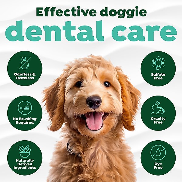 Show full view: TropiClean Fresh Breath Dental Water Additive for Dogs Plus Hip & Joint, 33.8-fl oz bottle slide 7 of 11
