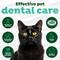 Show in main carousel: TropiClean Fresh Breath Dental Water Additive for Cats, 8-fl oz bottle slide 8 of 12