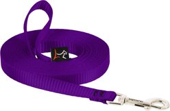 LupinePet Basic Solid Dog Training Leash, 30-ft long, 1/2-in wide, Purple, 30-ft long, Standard