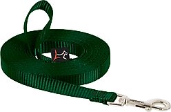 LupinePet Basic Solid Dog Training Leash, 15-ft long, 1/2-in wide, Green, 15-ft long, Standard