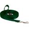 Show in main carousel: LupinePet Basic Solid Dog Training Leash, 30-ft long, 1/2-in wide, Green, 30-ft long, Standard slide 1 of 5