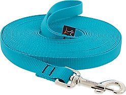 LupinePet Basic Solid Dog Training Leash, 15-ft long, 3/4-in wide, Aqua, 15-ft long, Standard
