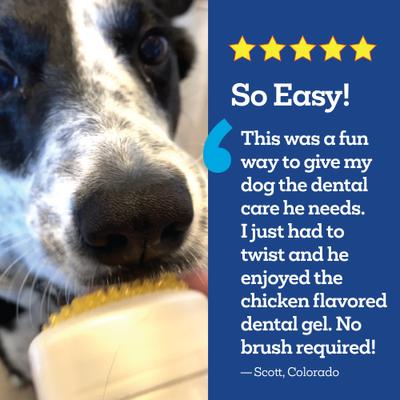 Show full view: Vetality Brush Free Twist & Lick Peanut Butter Flavored Dental Gel for Dogs, 2-fl oz bottle slide 4 of 11