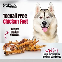 Palz&Co Birddog Chicken Feet Dog Treats, 60 count slide 2 of 9