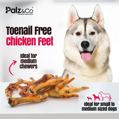Show full view: Palz&Co Birddog Chicken Feet Dog Treats, 60 count slide 7 of 10