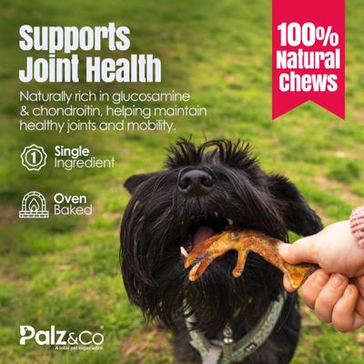 Show full view: Palz&Co Birddog Chicken Feet Dog Treats, 60 count slide 9 of 10