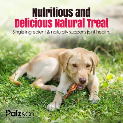 Show full view: Palz&Co Birddog Chicken Feet Dog Treats, 60 count slide 5 of 10