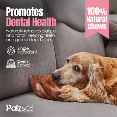 Show full view: Palz&Co Hogdog Pig Large Ears Dog Treats, 100 count slide 9 of 10