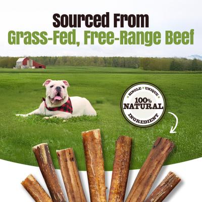 Show full view: Palz&Co Moodog 6-inch Beef Monster Bully Sticks Dog Treats, 25 count slide 8 of 10