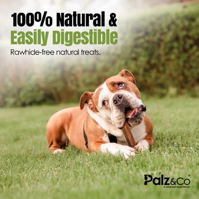 Show full view: Palz&Co Moodog 6-inch Beef Monster Bully Sticks Dog Treats, 25 count slide 5 of 10